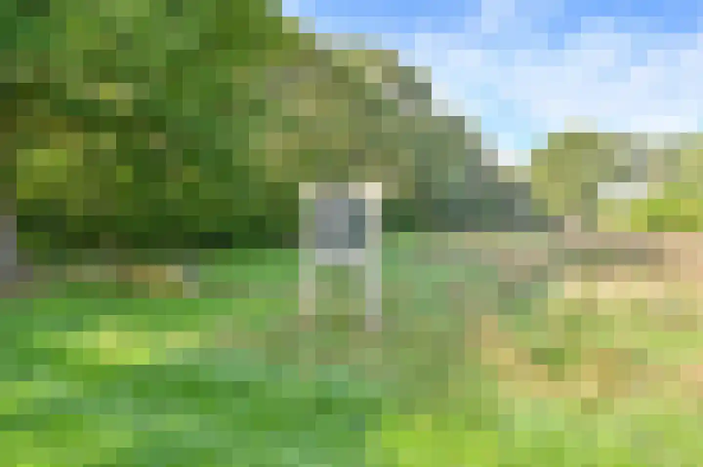 Dopheide 22 Odoorn thumbnail 84