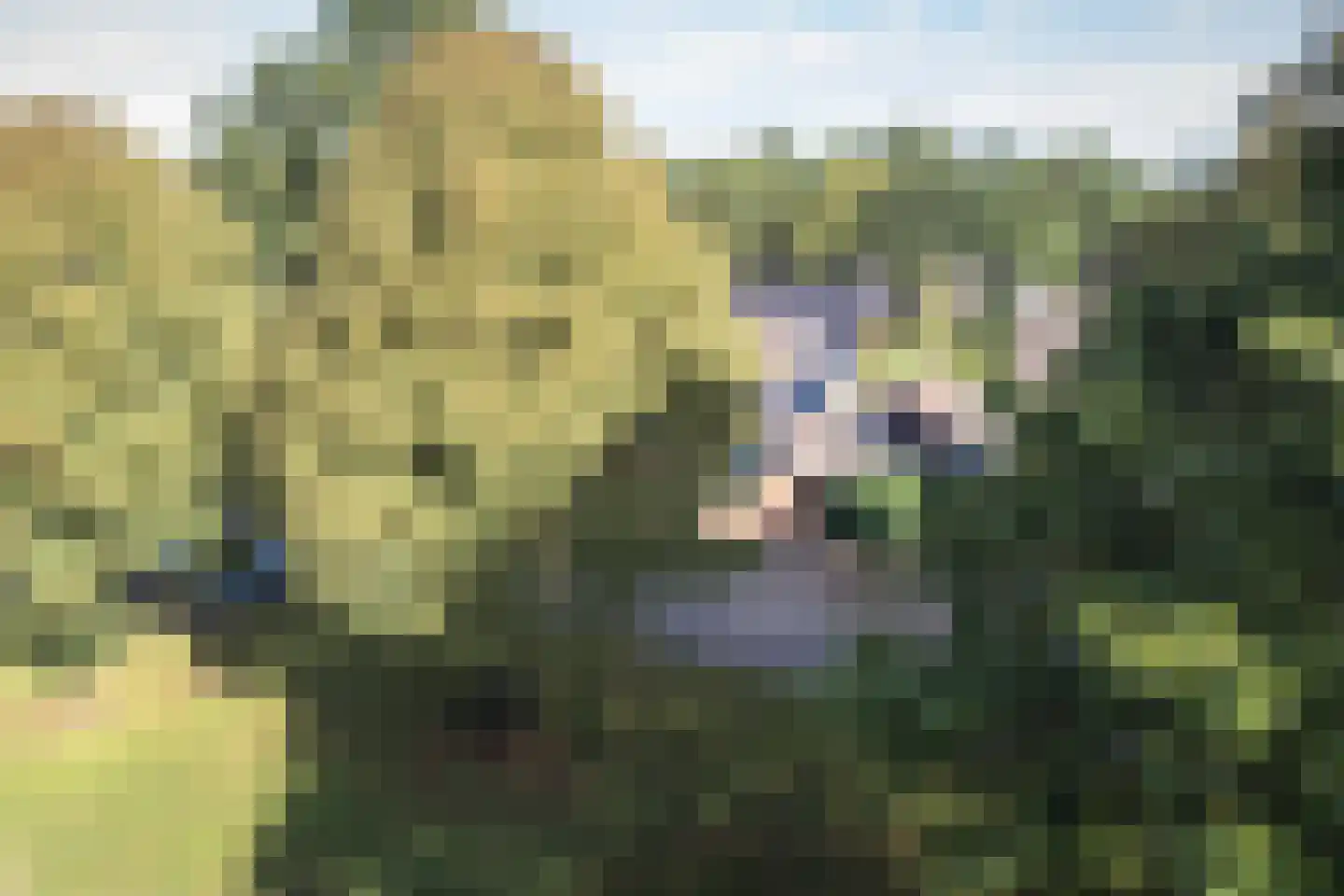 Dopheide 22 Odoorn thumbnail 85