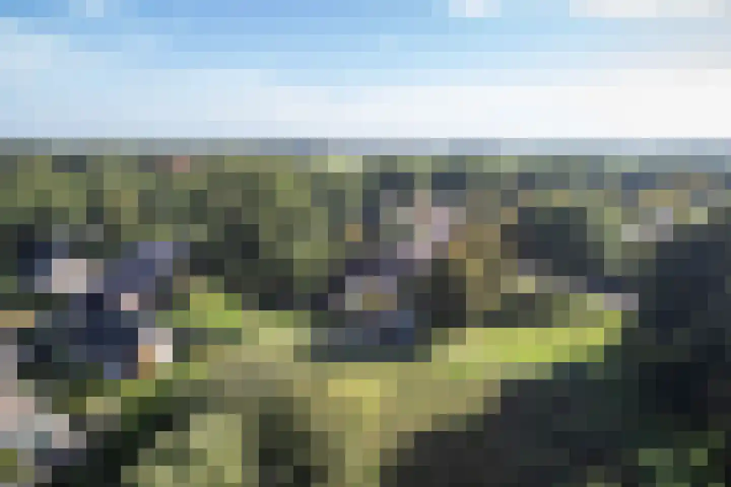Dopheide 22 Odoorn thumbnail 87