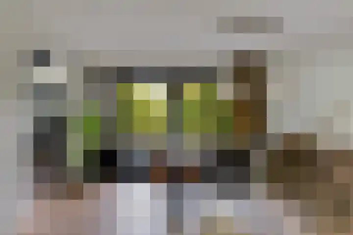 Dopheide 23 Heerenveen thumbnail 14