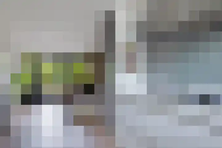 Dopheide 23 Heerenveen thumbnail 19