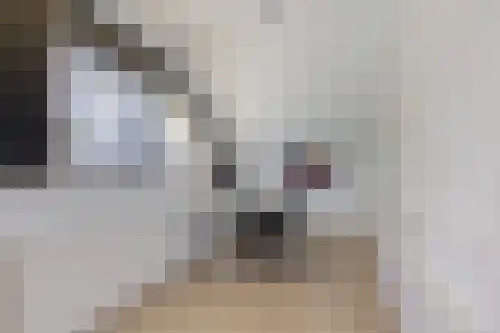 Dopheide 23 Heerenveen thumbnail 27
