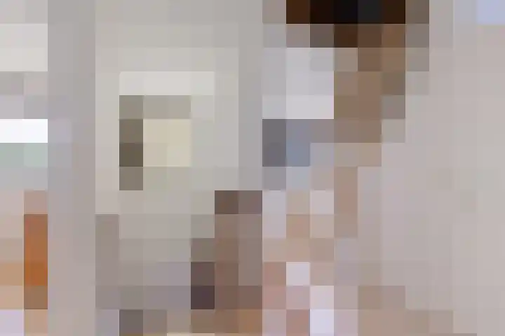 Dopheide 23 Heerenveen thumbnail 32