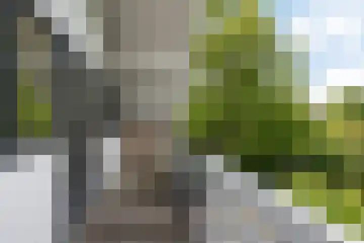 Dopheide 23 Heerenveen thumbnail 38