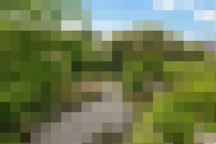 Dopheide 23 Heerenveen thumbnail 39