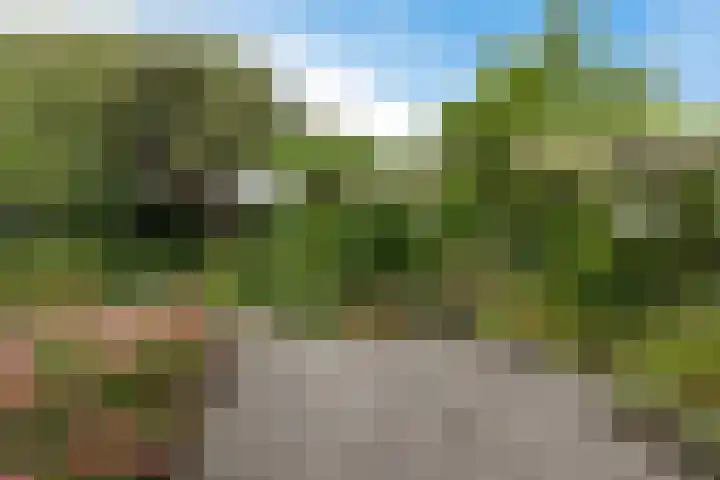 Dopheide 23 Heerenveen thumbnail 4