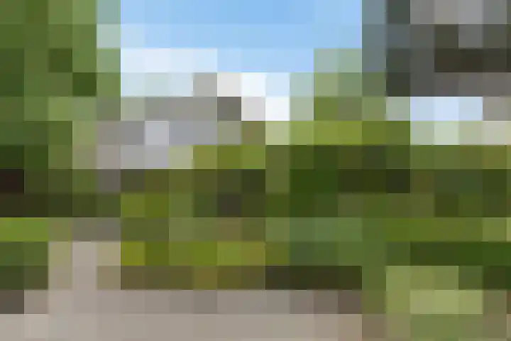 Dopheide 23 Heerenveen thumbnail 43