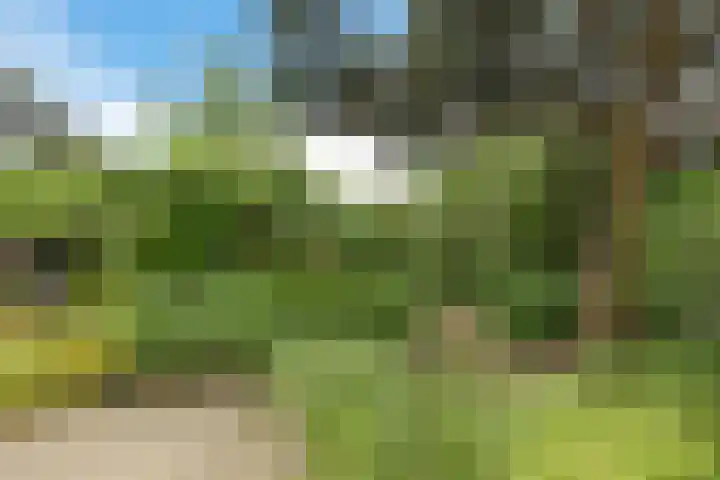 Dopheide 23 Heerenveen thumbnail 44