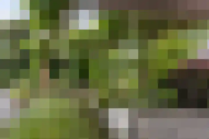Dopheide 23 Heerenveen thumbnail 46