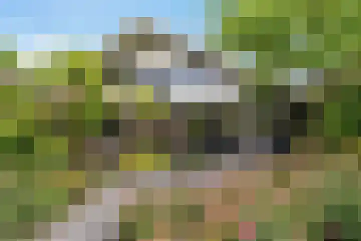 Dopheide 23 Heerenveen thumbnail 47