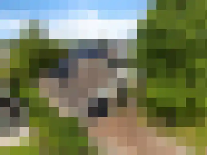 Dopheide 23 Heerenveen thumbnail 48