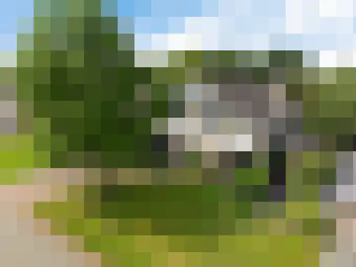 Dopheide 23 Heerenveen thumbnail 49