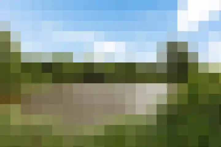 Dopheide 23 Heerenveen thumbnail 5