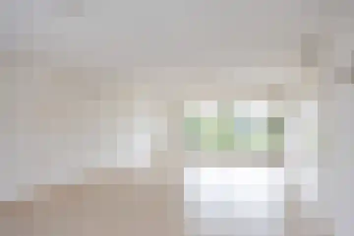 Dopheide 23 Ysselsteyn thumbnail 10