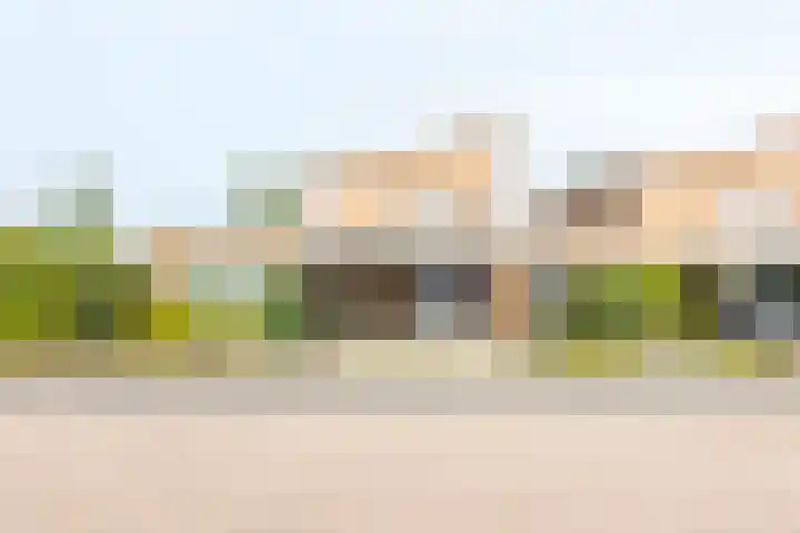 Dopheide 23 Ysselsteyn foto 2