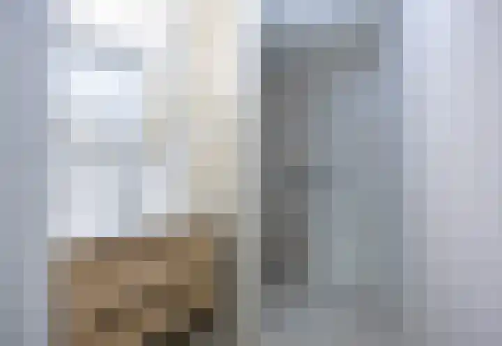 Dopheide 23 Ysselsteyn thumbnail 21