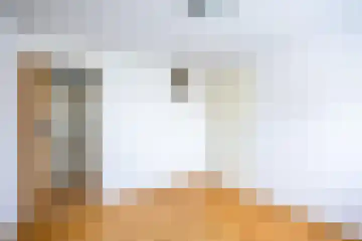 Dopheide 23 Ysselsteyn thumbnail 25