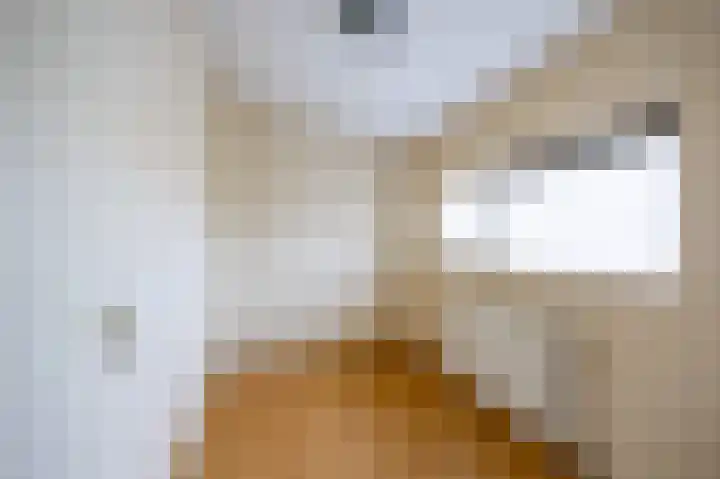 Dopheide 23 Ysselsteyn thumbnail 28