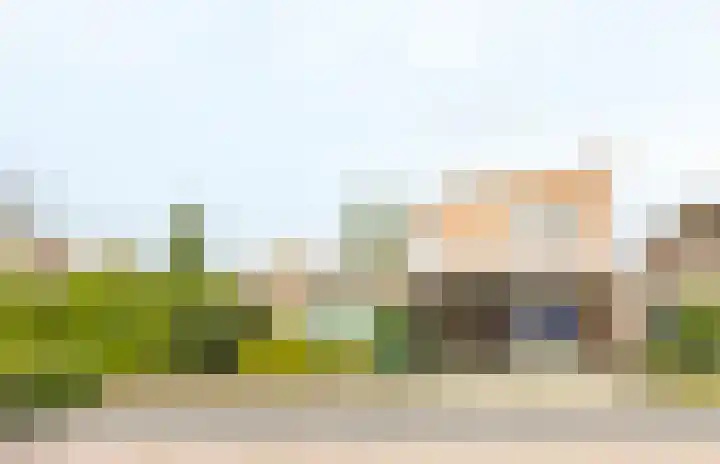 Dopheide 23 Ysselsteyn foto 3