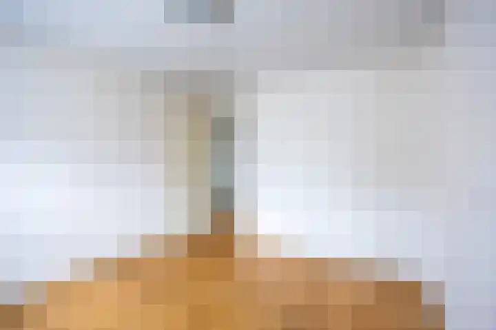 Dopheide 23 Ysselsteyn thumbnail 30