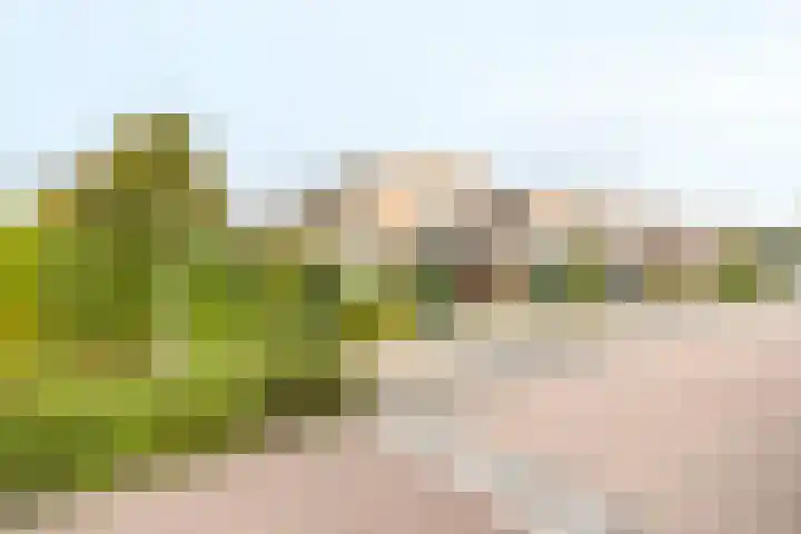 Dopheide 23 Ysselsteyn thumbnail 34