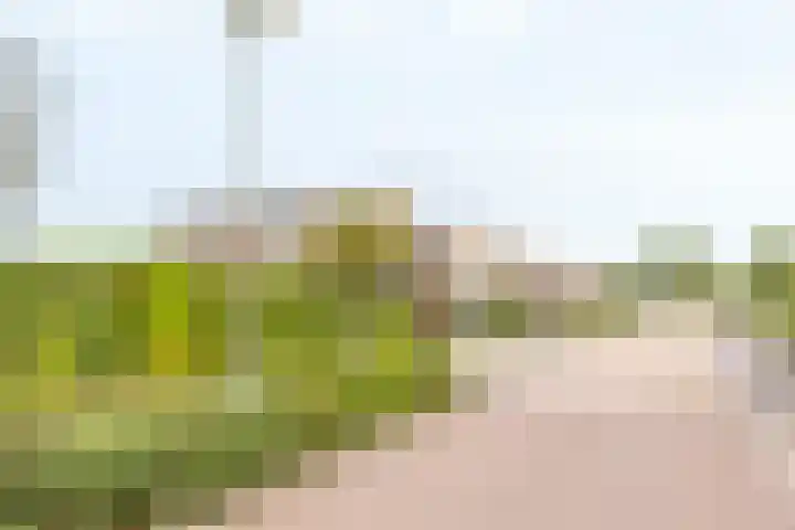 Dopheide 23 Ysselsteyn thumbnail 35