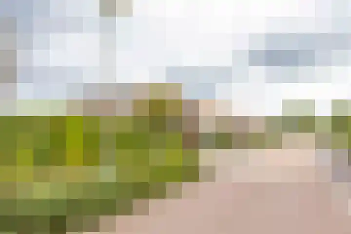 Dopheide 23 Ysselsteyn thumbnail 36