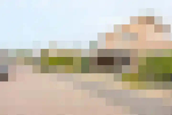 Dopheide 23 Ysselsteyn thumbnail 37