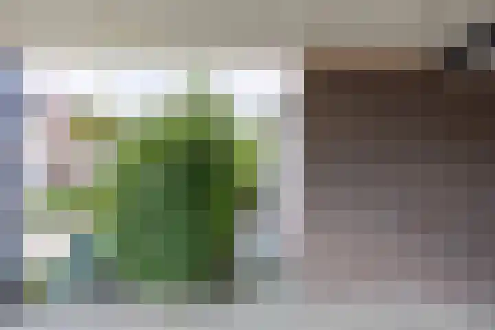 Dopheide 23 Ysselsteyn thumbnail 38