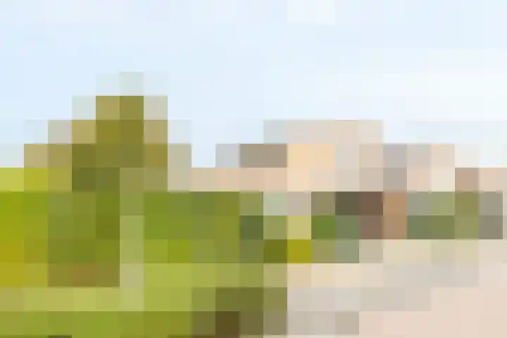 Dopheide 23 Ysselsteyn thumbnail 4