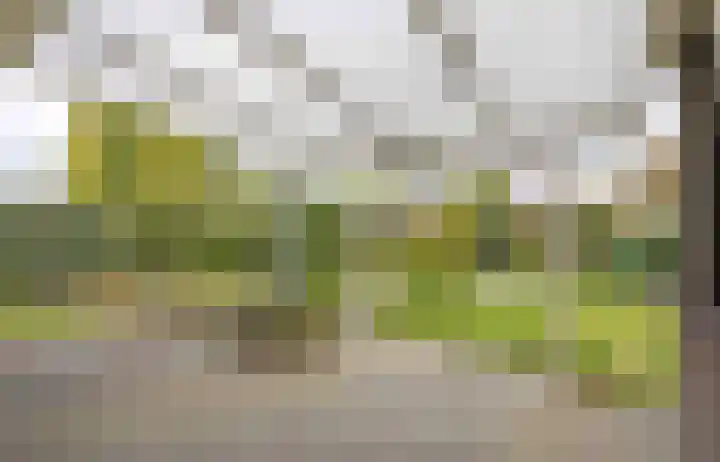 Dopheide 23 Ysselsteyn thumbnail 40