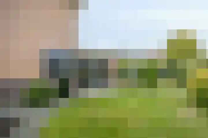Dopheide 23 Ysselsteyn thumbnail 41
