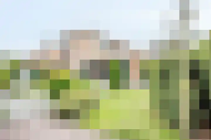 Dopheide 23 Ysselsteyn thumbnail 42