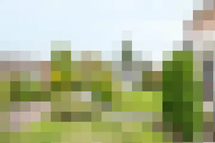 Dopheide 23 Ysselsteyn thumbnail 43