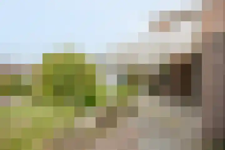 Dopheide 23 Ysselsteyn thumbnail 44