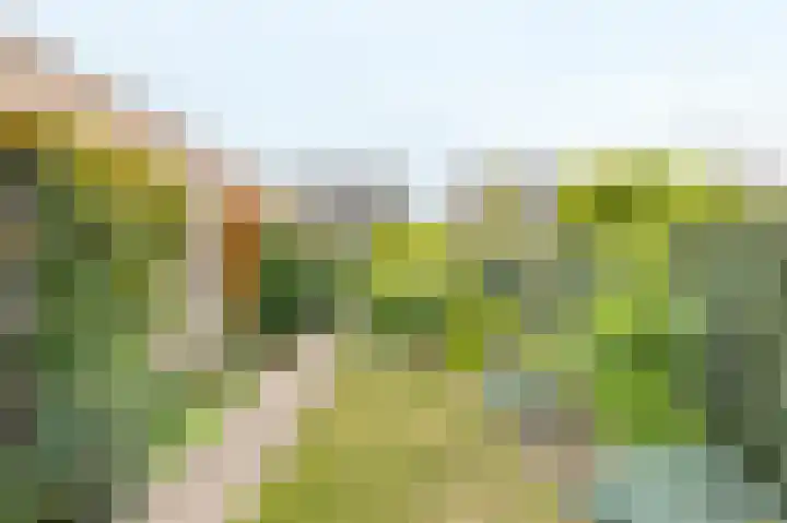 Dopheide 23 Ysselsteyn thumbnail 45