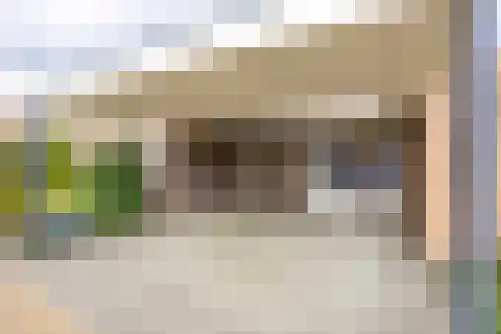 Dopheide 23 Ysselsteyn thumbnail 5