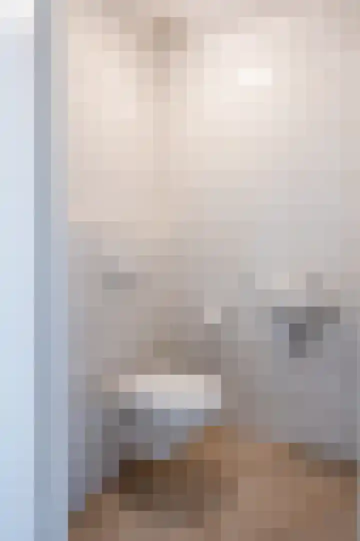 Dopheide 23 Ysselsteyn thumbnail 8
