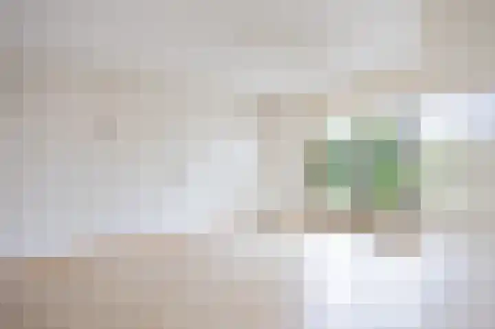 Dopheide 23 Ysselsteyn thumbnail 9