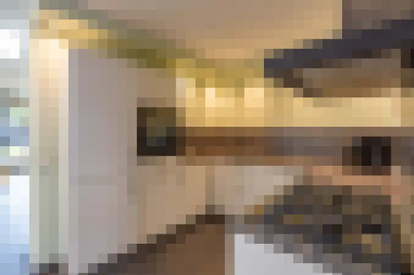 Dopheide 28 Ysselsteyn thumbnail 16