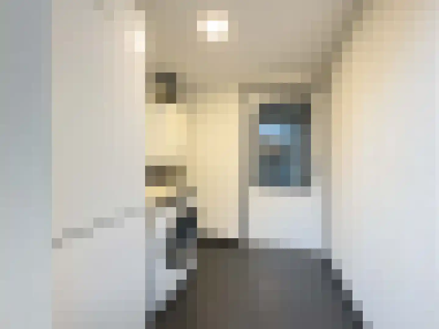 Dopheide 28 Ysselsteyn thumbnail 19