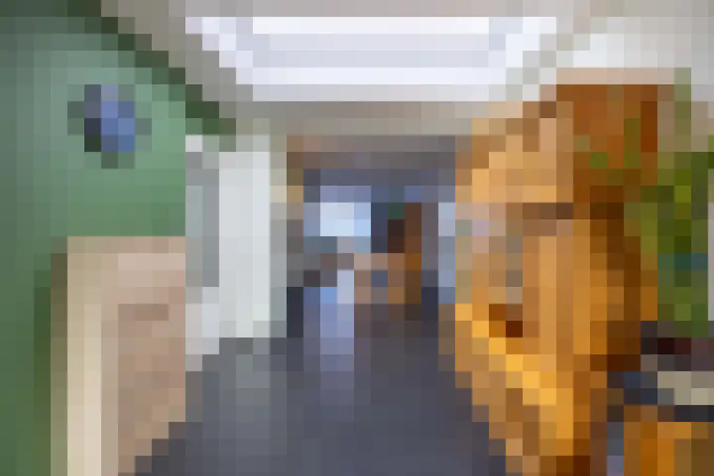 Dopheide 28 Ysselsteyn thumbnail 21