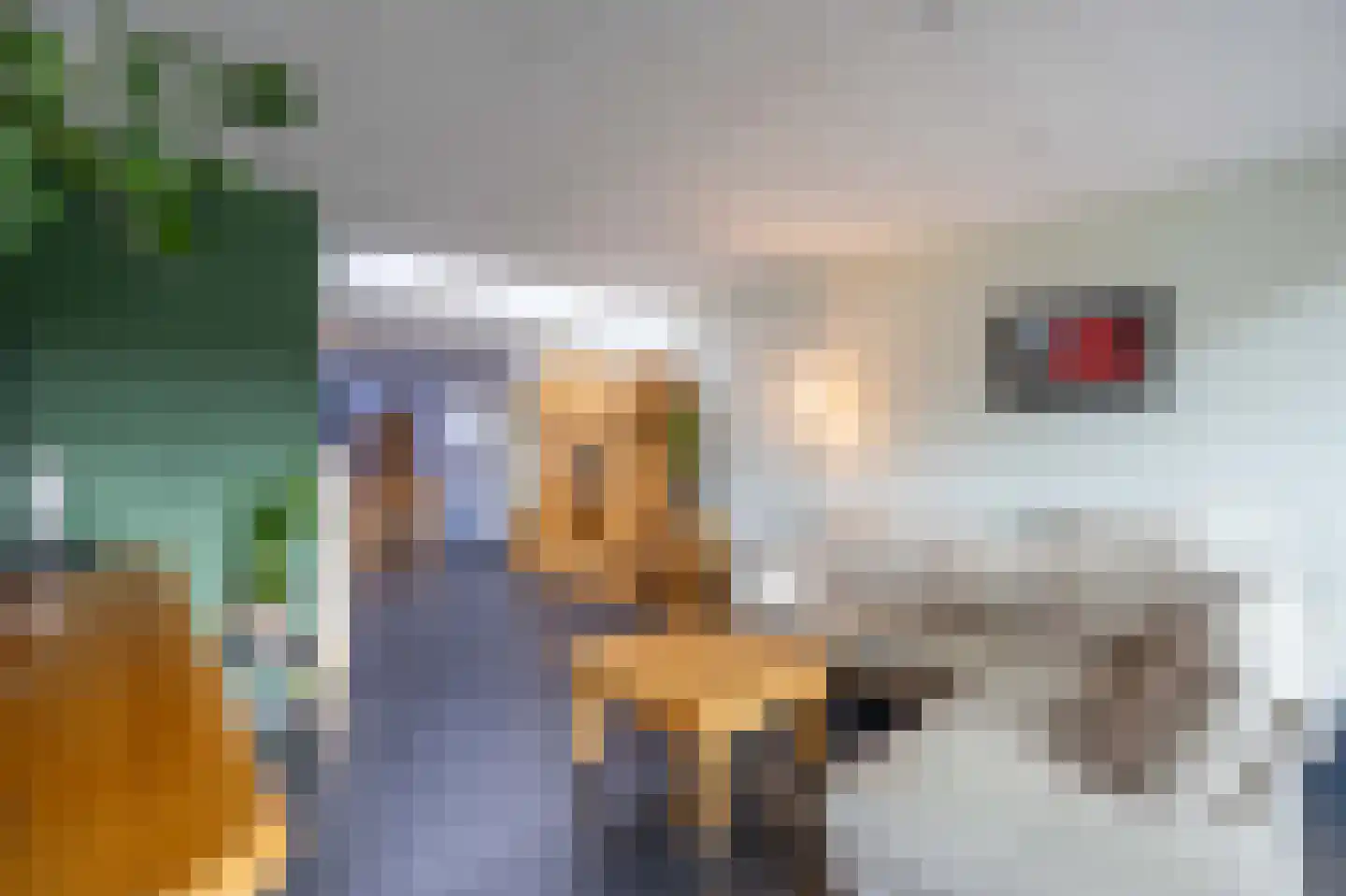Dopheide 28 Ysselsteyn thumbnail 23