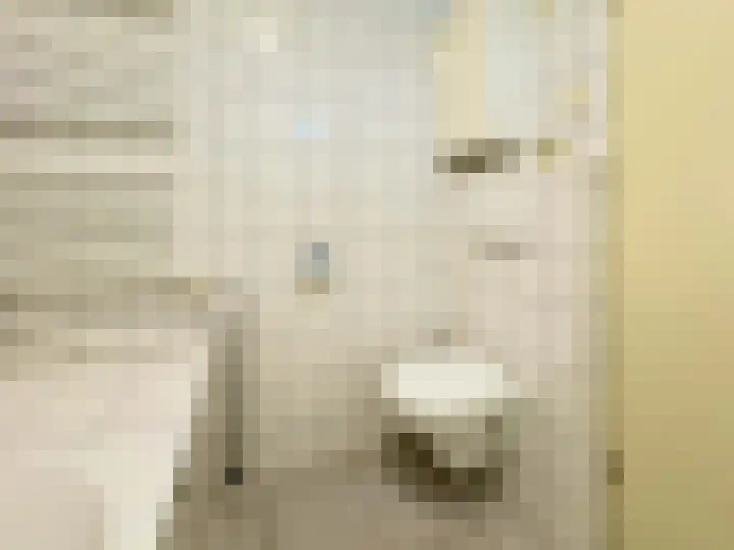 Dopheide 28 Ysselsteyn thumbnail 31