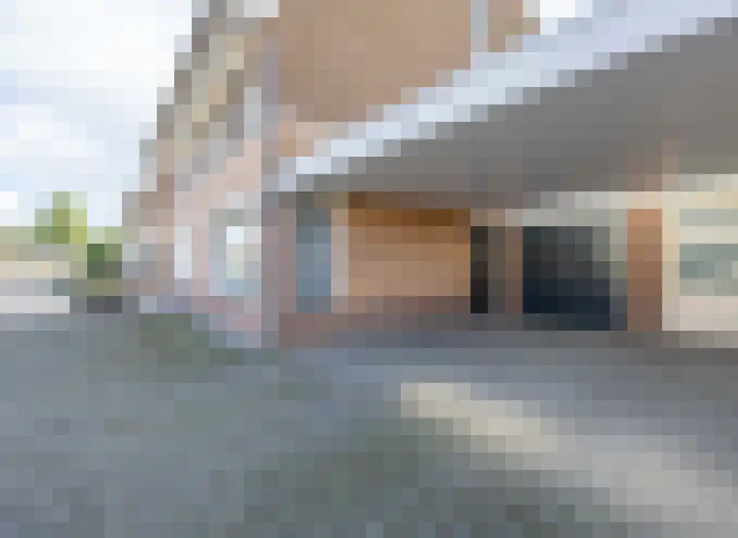 Dopheide 28 Ysselsteyn thumbnail 34