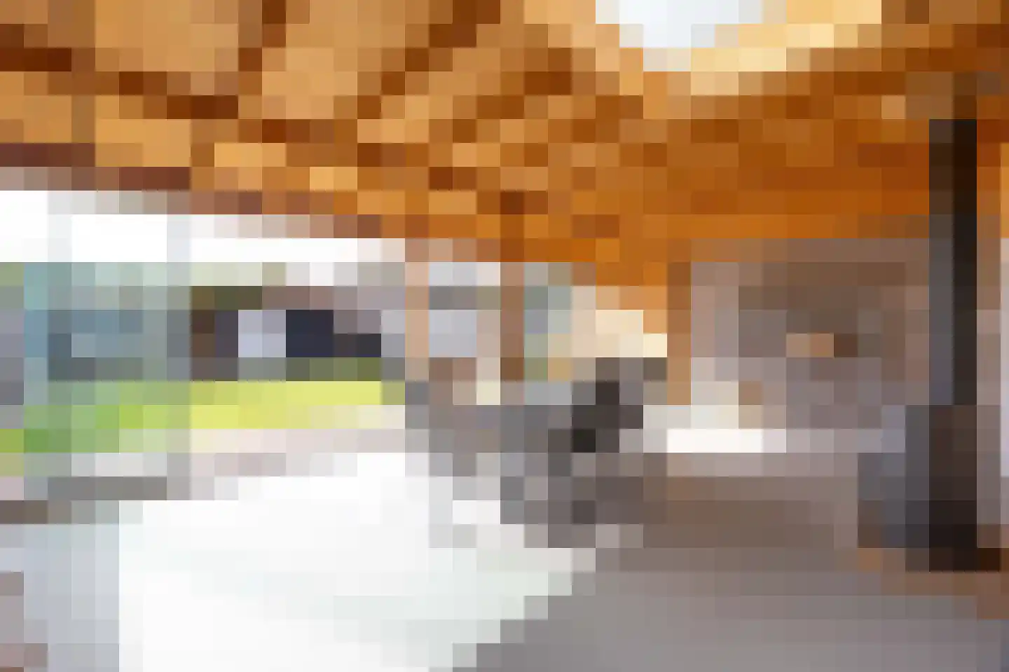 Dopheide 28 Ysselsteyn thumbnail 35