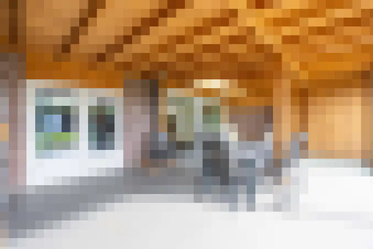 Dopheide 28 Ysselsteyn thumbnail 36