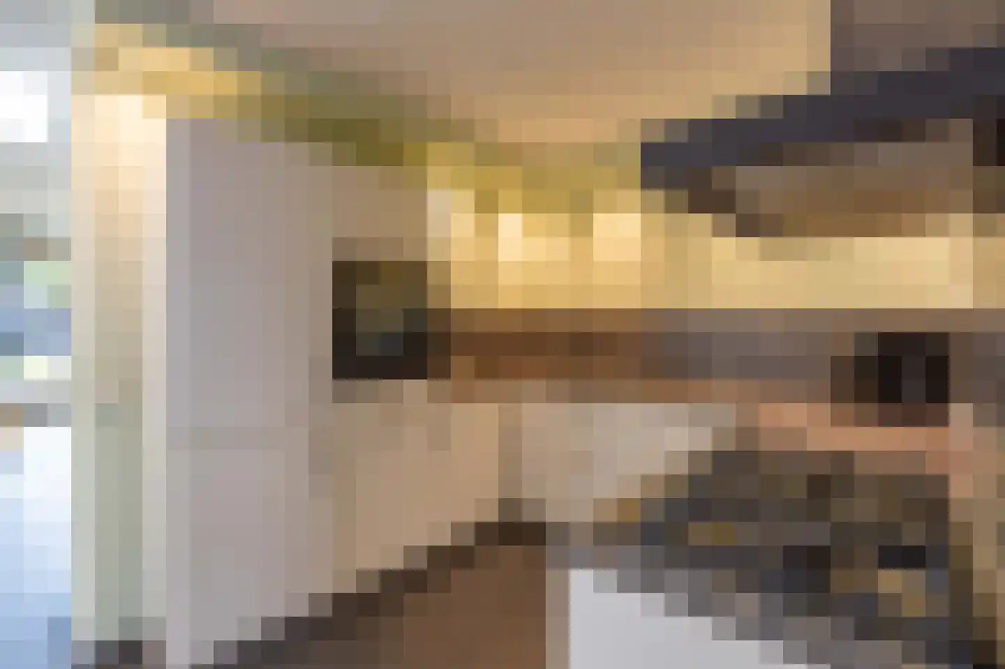 Dopheide 28 Ysselsteyn thumbnail 5