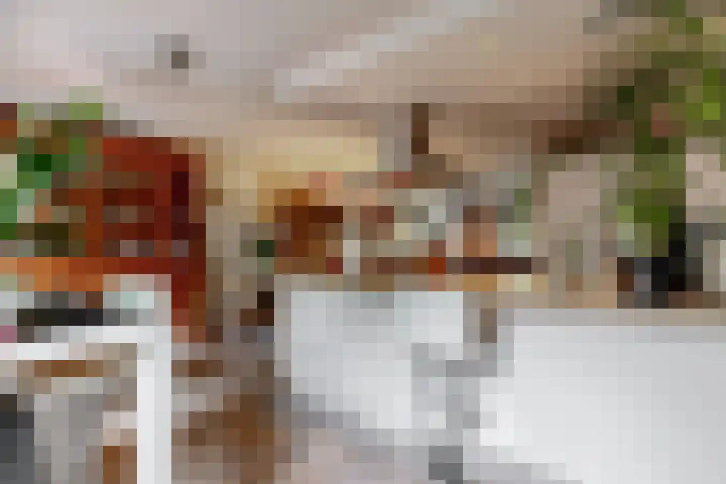 Dopheide 3 Limmen thumbnail 12