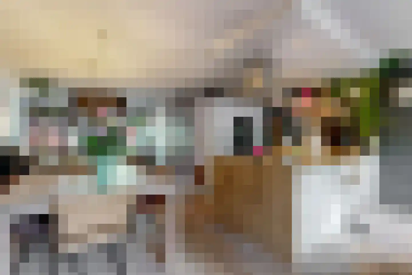 Dopheide 3 Limmen thumbnail 13